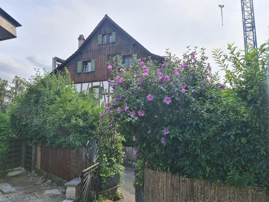 3 Bedroom Swiss House On 3 Floors Oberglatt Eksteriør billede