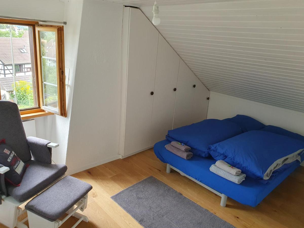 3 Bedroom Swiss House On 3 Floors Oberglatt Eksteriør billede