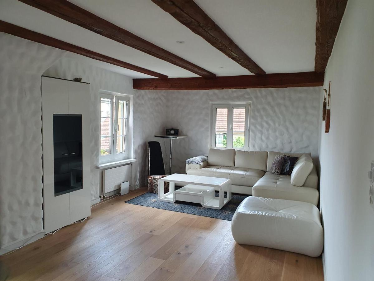 3 Bedroom Swiss House On 3 Floors Oberglatt Eksteriør billede